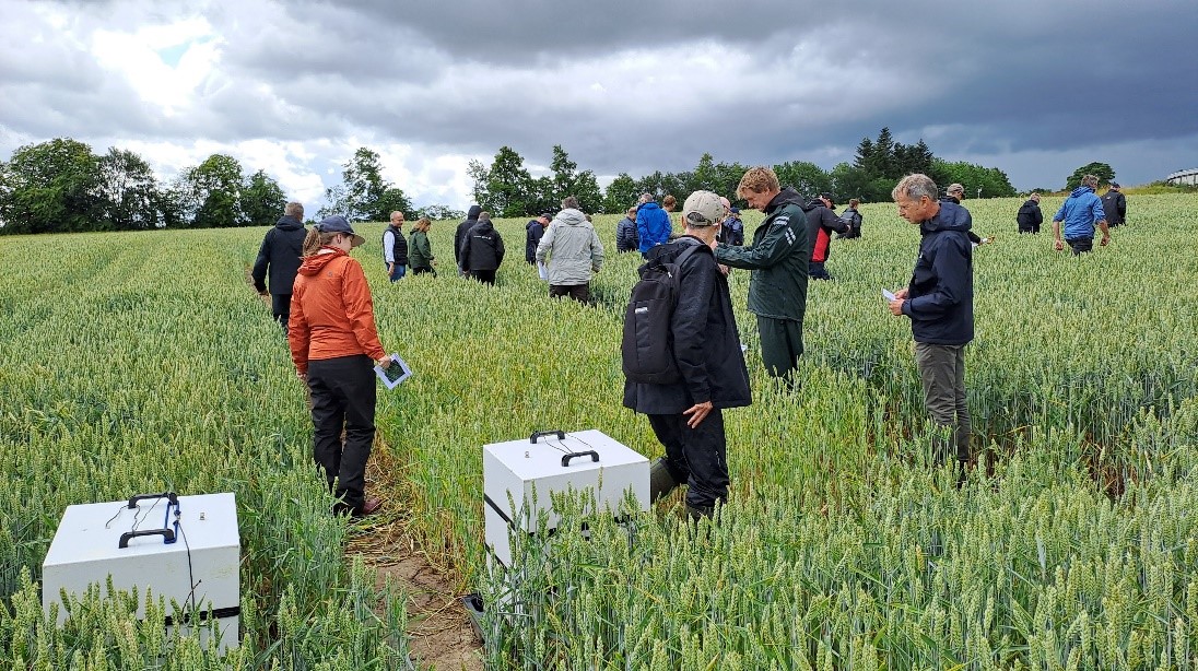LEX4BIO final National Dissemination Forum (NDF) in Denmark - Lex4Bio
