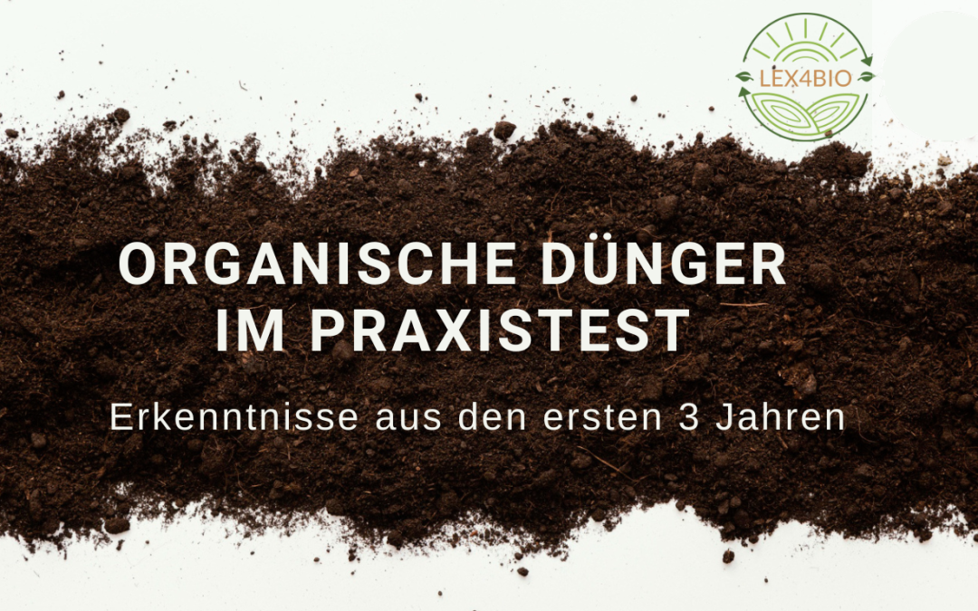 welcher dünger für ahornbaum Purgrün Japanischer-Ahorn-Dünger 1 kg