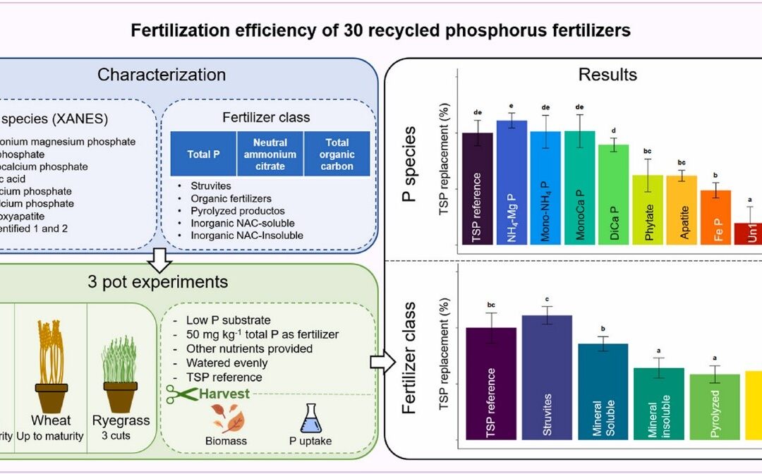Fertilization efficiency of thirty marketed and experimental recycled phosphorus fertilizers